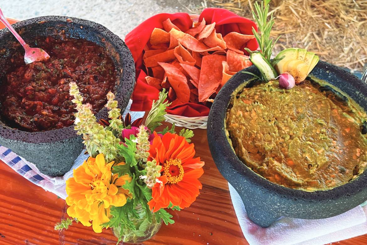Class-made salsas and chips at Flora Farms (Photo by DepartureLevel.com)