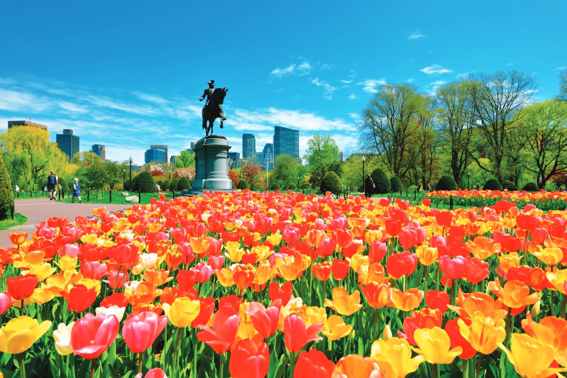 Boston Public Garden (Photo by Jorge Salcedo)
