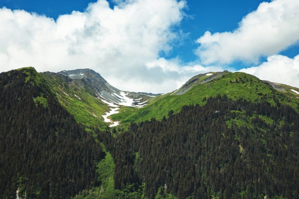 Alaskan Nature Vista